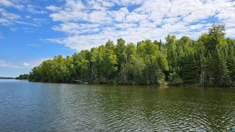 Tiny photo for 33 Donovan Point, Orr, MN 55771 (MLS # 6124193)