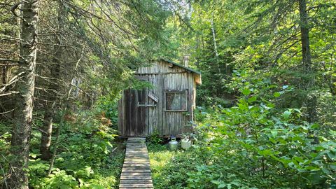 Tiny photo for 33 Donovan Point, Orr, MN 55771 (MLS # 6124193)