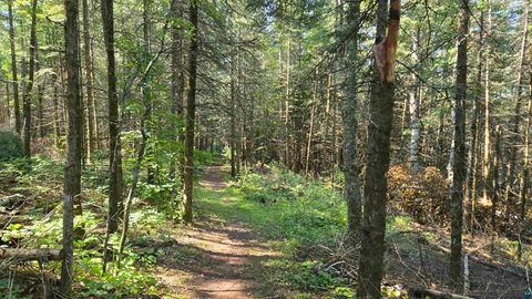 Tiny photo for 33 Donovan Point, Orr, MN 55771 (MLS # 6124193)