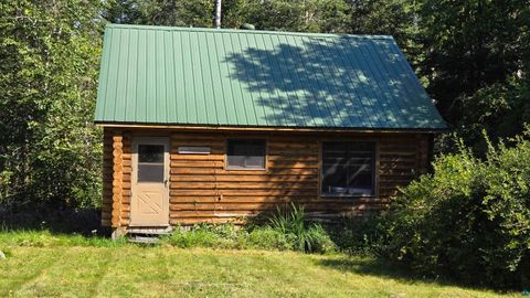 Tiny photo for 33 Donovan Point, Orr, MN 55771 (MLS # 6124193)