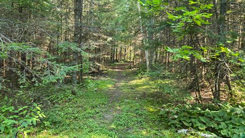 Tiny photo for 33 Donovan Point, Orr, MN 55771 (MLS # 6124193)