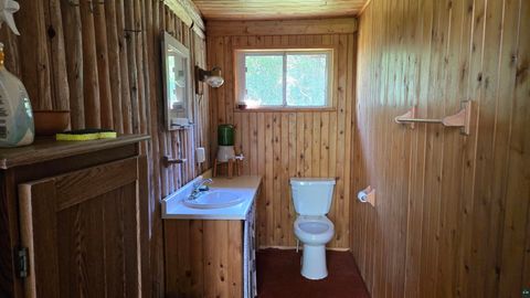 Tiny photo for 33 Donovan Point, Orr, MN 55771 (MLS # 6124193)