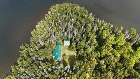 Tiny photo for 33 Donovan Point, Orr, MN 55771 (MLS # 6124193)
