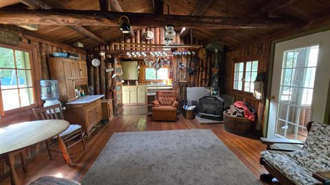 Tiny photo for 33 Donovan Point, Orr, MN 55771 (MLS # 6124193)