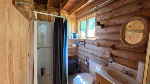 Tiny photo for 33 Donovan Point, Orr, MN 55771 (MLS # 6124193)