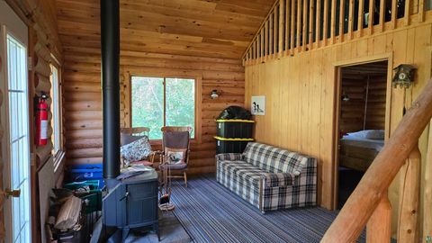 Tiny photo for 33 Donovan Point, Orr, MN 55771 (MLS # 6124193)