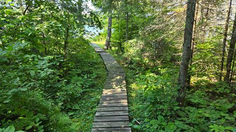 Tiny photo for 33 Donovan Point, Orr, MN 55771 (MLS # 6124193)