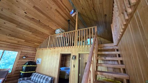 Tiny photo for 33 Donovan Point, Orr, MN 55771 (MLS # 6124193)