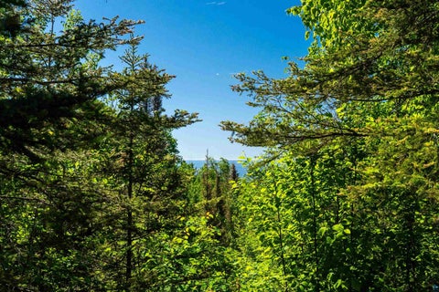 Tiny photo for 14 County Rd 48, Grand Marais, MN 55604 (MLS # 6126540)