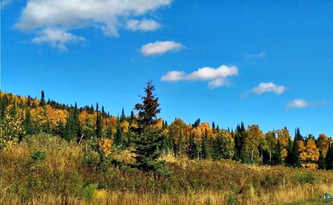 Tiny photo for 1038 W 3rd Ave, Grand Marais, MN 55604 (MLS # 6125884)