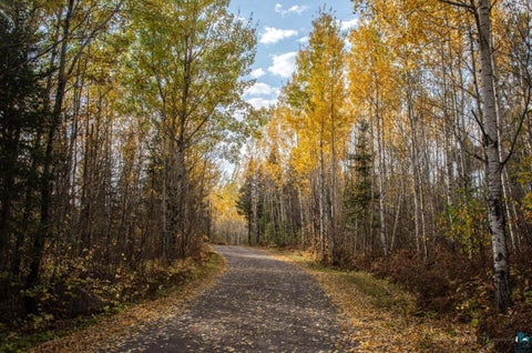 Tiny photo for 48 Wolf Point Tr, Grand Marais, MN 55604 (MLS # 6125852)