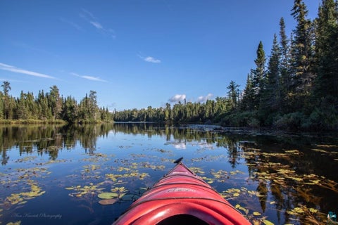 Tiny photo for 48 Wolf Point Tr, Grand Marais, MN 55604 (MLS # 6125852)