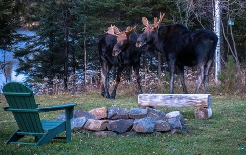 Tiny photo for 48 Wolf Point Tr, Grand Marais, MN 55604 (MLS # 6125852)