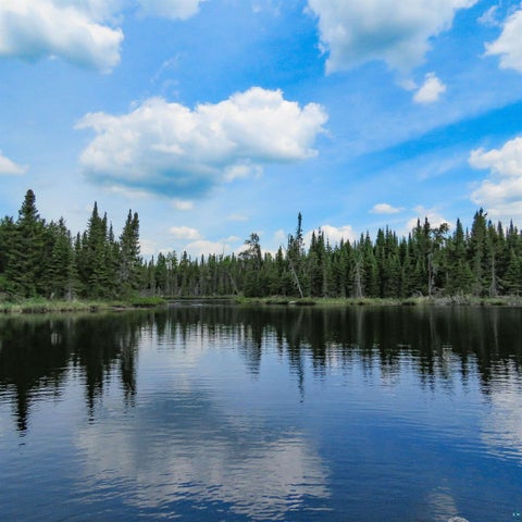 Tiny photo for 48 Wolf Point Tr, Grand Marais, MN 55604 (MLS # 6125852)