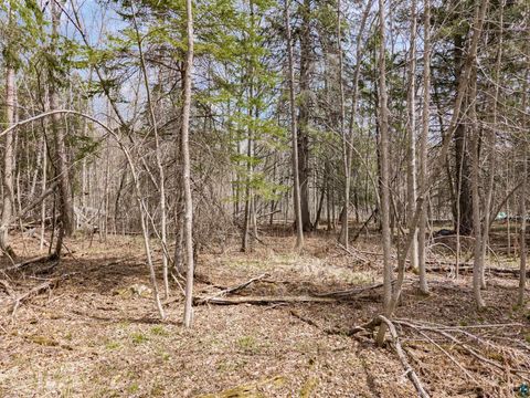 Tiny photo for XXX W 9th St, Duluth, MN 55808 (MLS # 6125118)