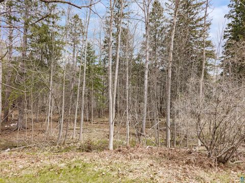 Tiny photo for XXX W 9th St, Duluth, MN 55808 (MLS # 6125118)
