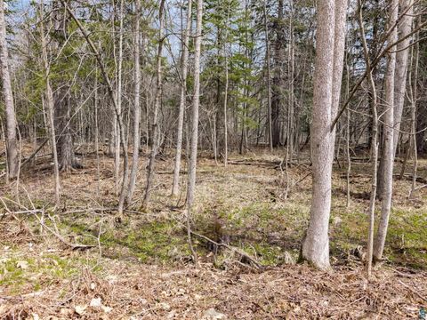 Tiny photo for XXX W 9th St, Duluth, MN 55808 (MLS # 6125118)