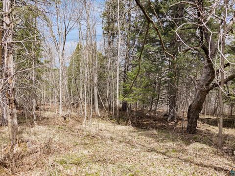 Tiny photo for XXX W 9th St, Duluth, MN 55808 (MLS # 6125118)