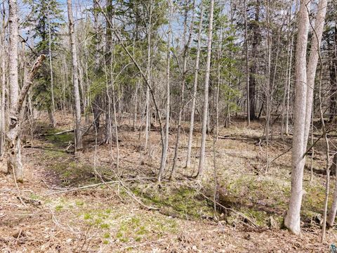 Tiny photo for XXX W 9th St, Duluth, MN 55808 (MLS # 6125118)