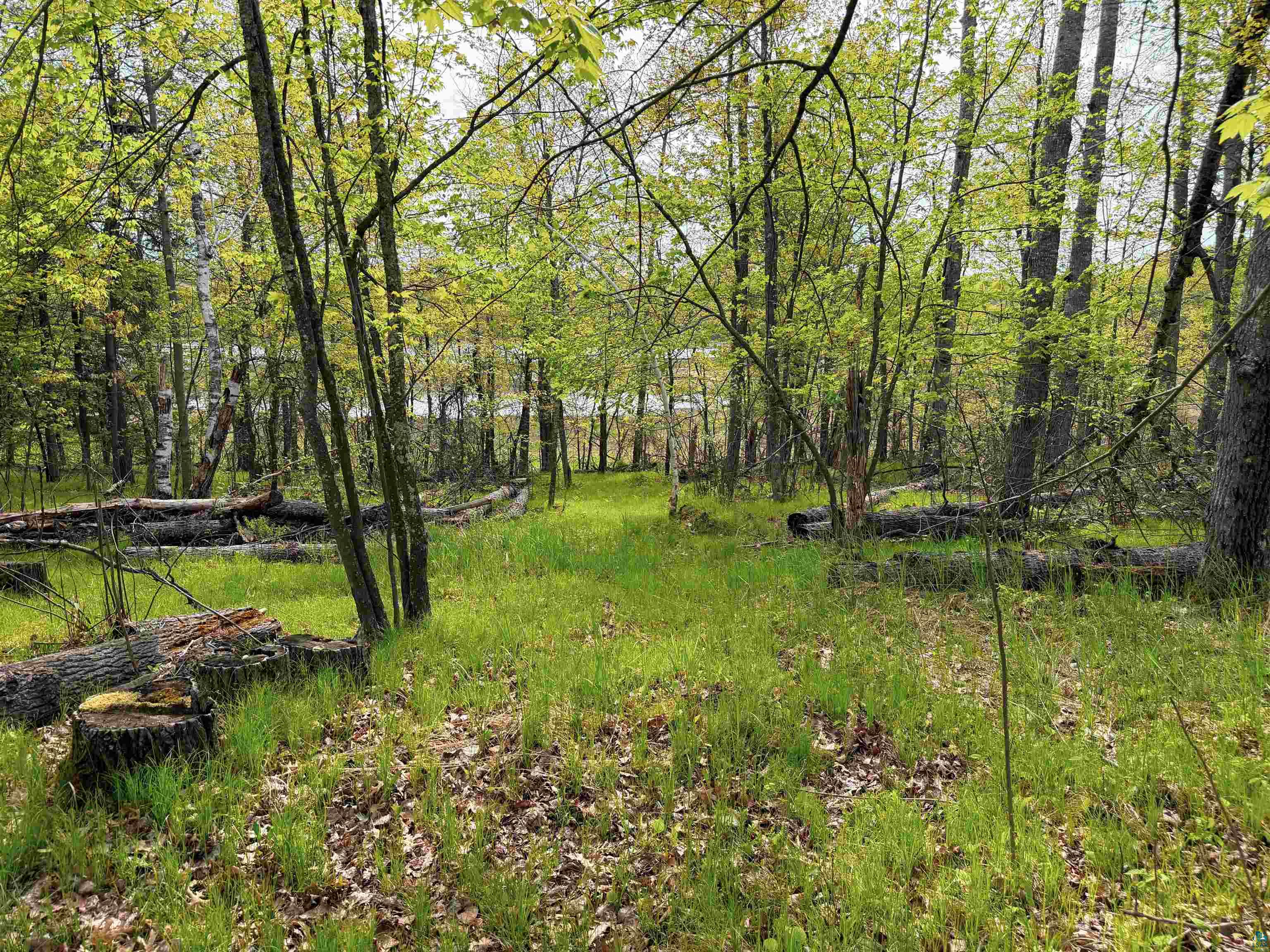 15051 S Thorn Lake Loop
