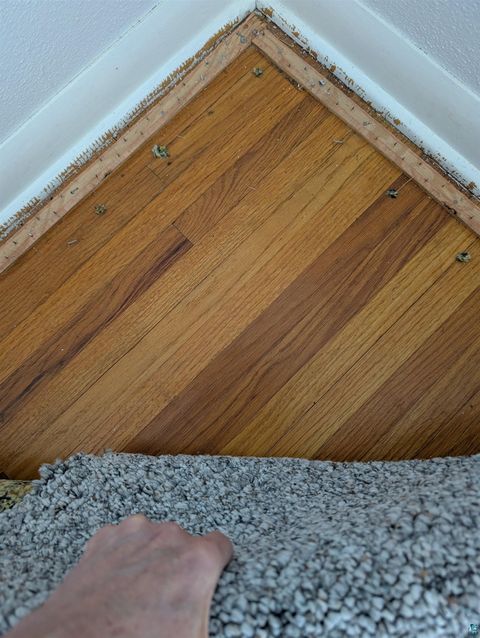 Tiny photo for 3714 Woodland Ave, Duluth, MN 55803 (MLS # 6124949)