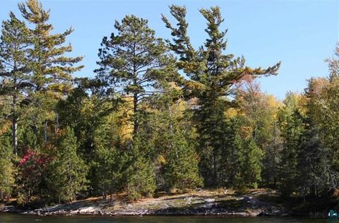Tiny photo for 8481 Wakemup Narrows, Cook, MN 55731 (MLS # 6123868)
