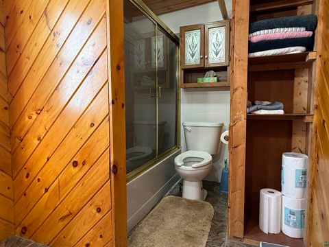 Tiny photo for 954 E Camp St, Ely, MN 55731 (MLS # 6124277)