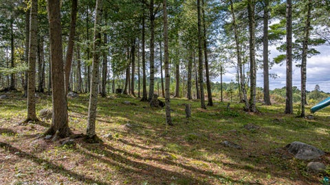 Tiny photo for 1298 Heather St, Ely, MN 55731 (MLS # 6128165)