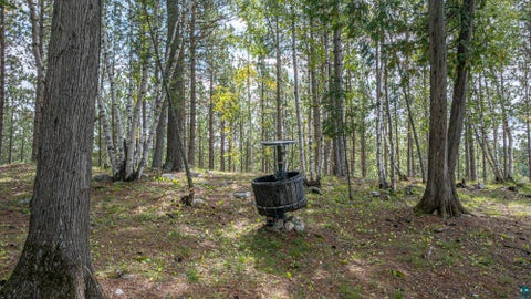 Tiny photo for 1298 Heather St, Ely, MN 55731 (MLS # 6128165)
