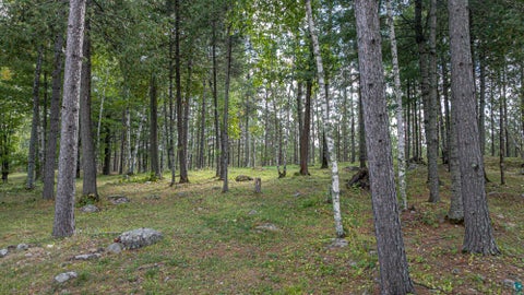 Tiny photo for 1298 Heather St, Ely, MN 55731 (MLS # 6128165)