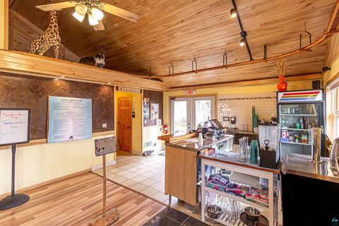 Tiny photo for 955 E Sheridan St, Ely, MN 55731 (MLS # 6125842)