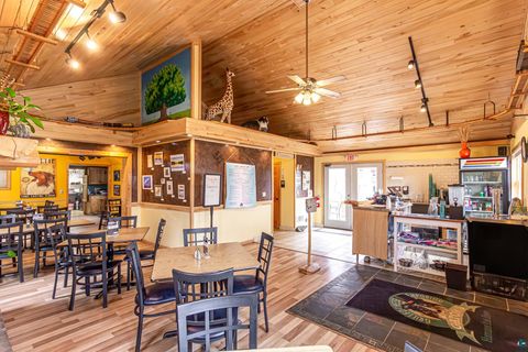 Tiny photo for 955 E Sheridan St, Ely, MN 55731 (MLS # 6125842)
