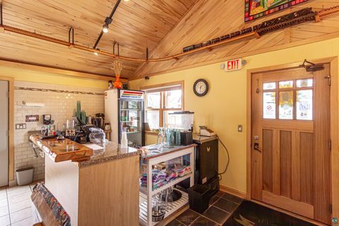 Tiny photo for 955 E Sheridan St, Ely, MN 55731 (MLS # 6125842)