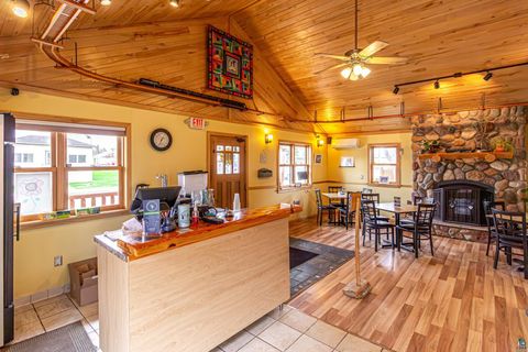Tiny photo for 955 E Sheridan St, Ely, MN 55731 (MLS # 6125842)