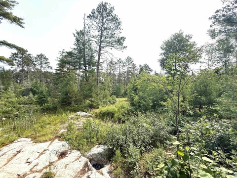 Tiny photo for 1648 Golden Ridge Tr, Ely, MN 55731 (MLS # 6126455)