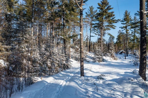 Tiny photo for 1648 Golden Ridge Tr, Ely, MN 55731 (MLS # 6126455)