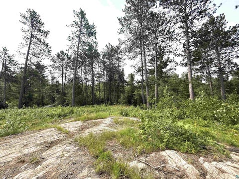 Tiny photo for 1648 Golden Ridge Tr, Ely, MN 55731 (MLS # 6126455)