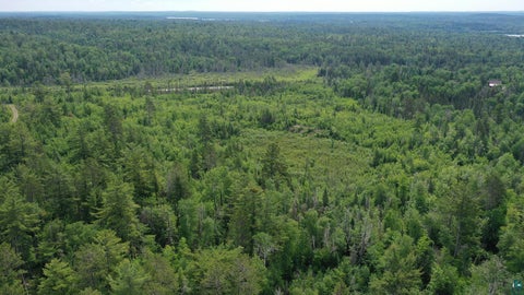 Tiny photo for 1648 Golden Ridge Tr, Ely, MN 55731 (MLS # 6126455)