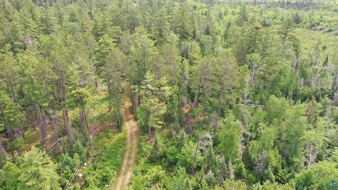 Tiny photo for 1648 Golden Ridge Tr, Ely, MN 55731 (MLS # 6126455)