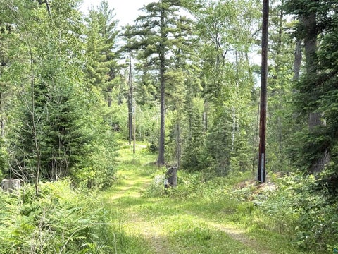 Tiny photo for 1648 Golden Ridge Tr, Ely, MN 55731 (MLS # 6126455)