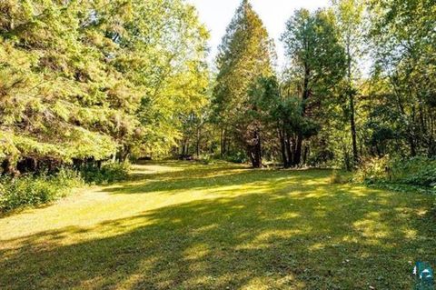 Tiny photo for 3928 Haines Rd, Duluth, MN 55811 (MLS # 6124279)
