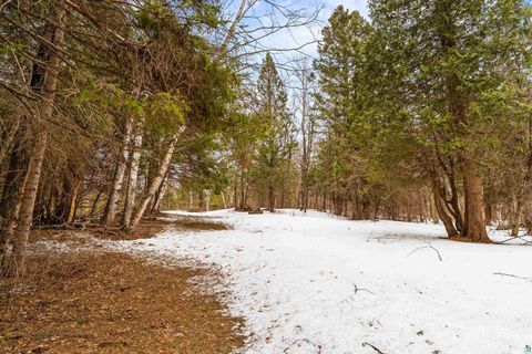 Tiny photo for 3928 Haines Rd, Duluth, MN 55811 (MLS # 6124279)