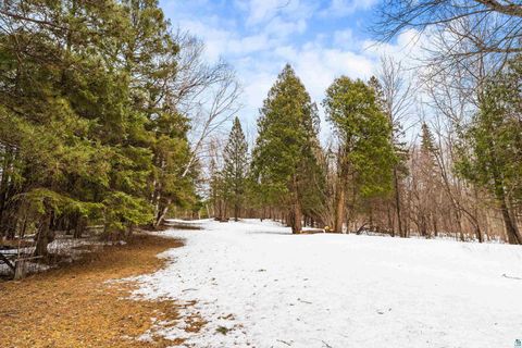 Tiny photo for 3928 Haines Rd, Duluth, MN 55811 (MLS # 6124279)
