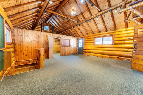 Tiny photo for 1600 E Sheridan St, Ely, MN 55731 (MLS # 6124106)