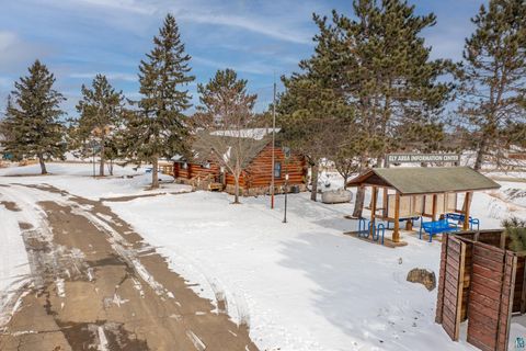 Tiny photo for 1600 E Sheridan St, Ely, MN 55731 (MLS # 6124106)