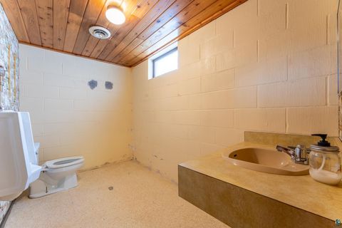 Tiny photo for 1600 E Sheridan St, Ely, MN 55731 (MLS # 6124106)