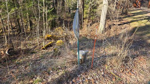 Tiny photo for 7485 Nelson Rd, Crane Lake, MN 55725 (MLS # 6125063)