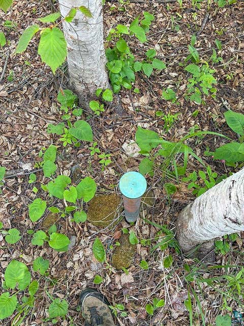Tiny photo for 379 Onion River Rd, Tofte, MN 55615 (MLS # 6127465)