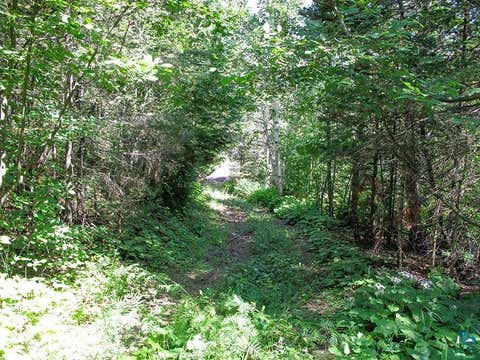Tiny photo for 379 Onion River Rd, Tofte, MN 55615 (MLS # 6127465)