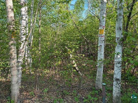 Tiny photo for 379 Onion River Rd, Tofte, MN 55615 (MLS # 6127465)